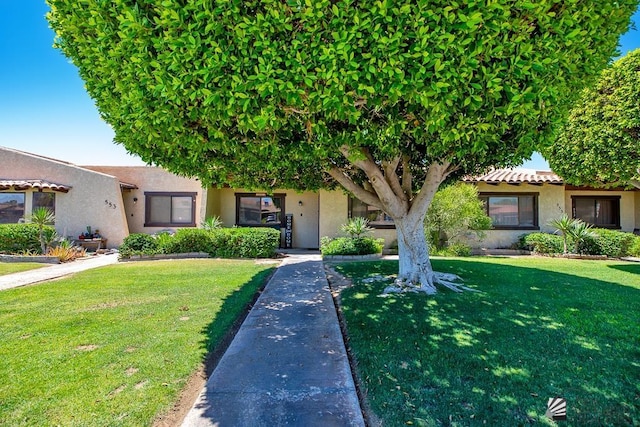 543 E 25th St, Yuma, AZ 85365 - view of front of house featuring stucco siding and a front lawn