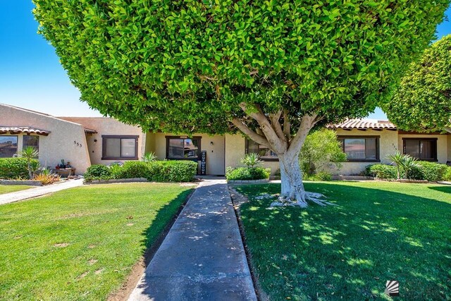 543 E 25th St, Yuma, AZ 85365 - view of front of house featuring stucco siding and a front lawn