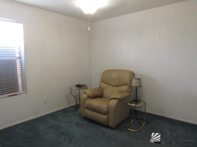 10646 S Via Salida, Yuma, AZ 85367 - living area with carpet flooring and baseboards