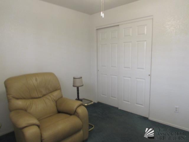 10646 S Via Salida, Yuma, AZ 85367 - living area with dark colored carpet