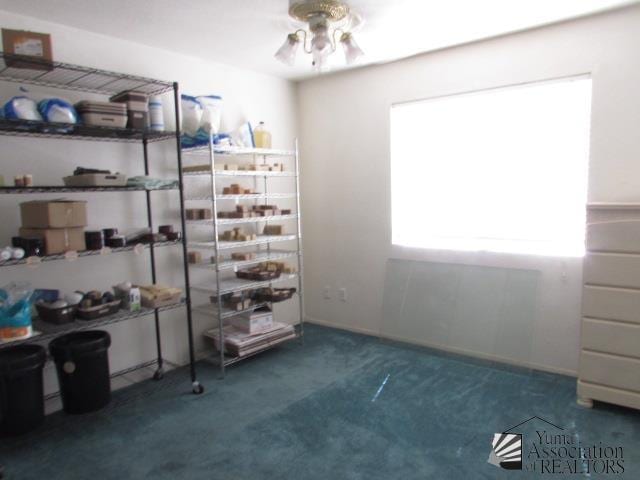 10646 S Via Salida, Yuma, AZ 85367 - storage with ceiling fan
