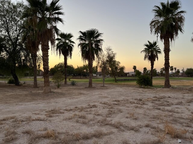 - photo 7
