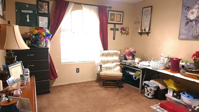 living area with baseboards and carpet