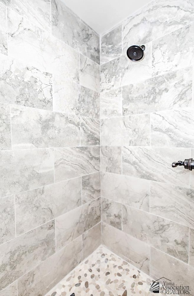 12546 E 51st Pl, Yuma, AZ 85367 - full bathroom featuring a tile shower