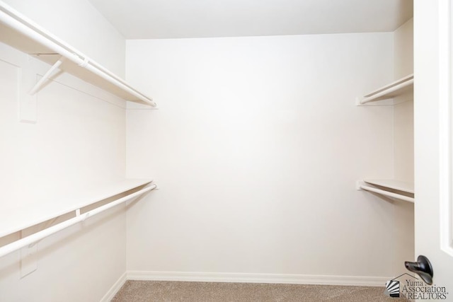 12546 E 51st Pl, Yuma, AZ 85367 - spacious closet with carpet