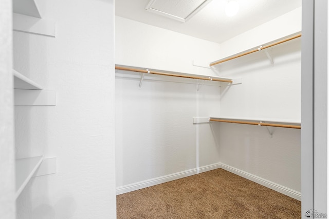 3481 W 27th Ln, Yuma, AZ 85364 - spacious closet with carpet and attic access