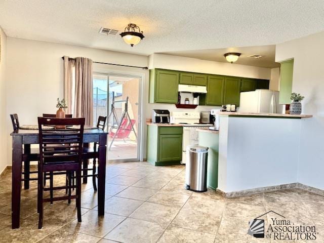 kitchen with green cabinets, under cabinet range hood, electric stove, and freestanding refrigerator