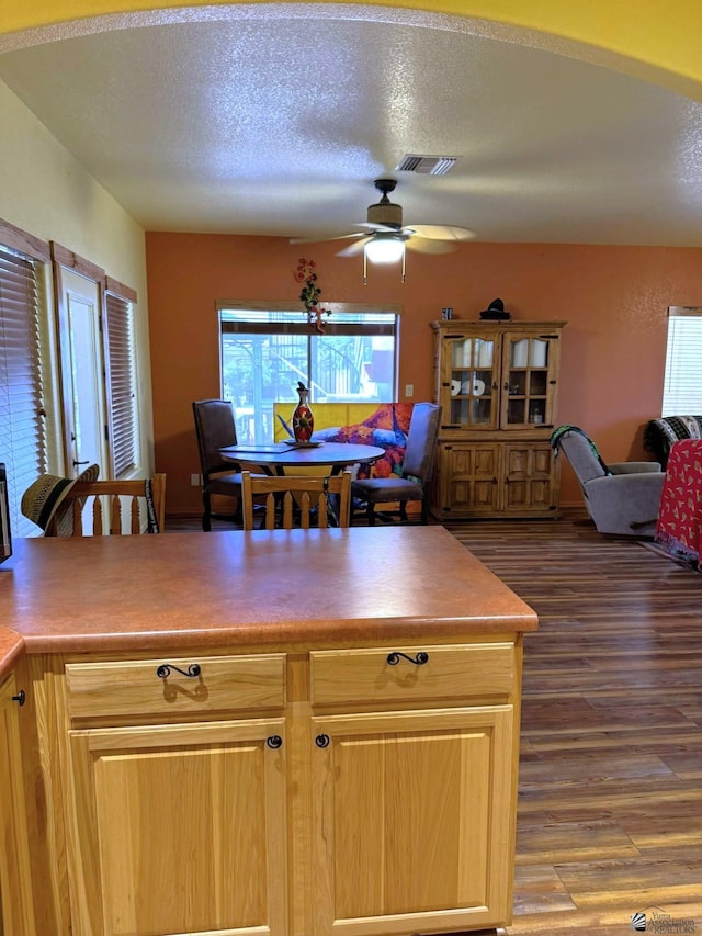 14453 E 55th St, Yuma, AZ 85367 - kitchen featuring a ceiling fan, dark wood-style flooring, a textured ceiling, visible vents, and open floor plan