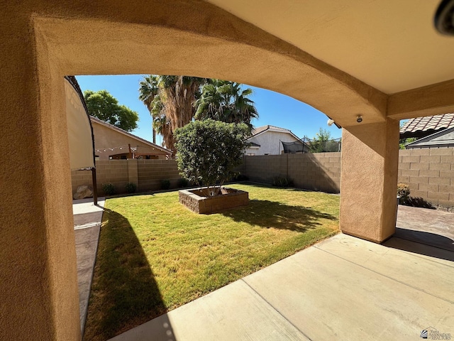 view of yard featuring a patio area