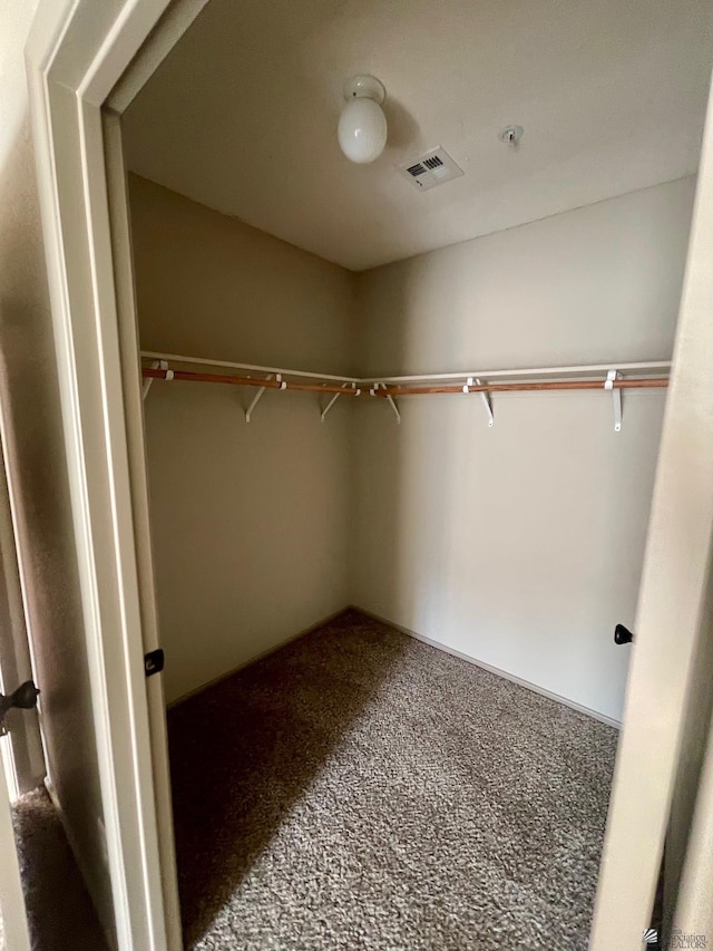 spacious closet featuring carpet floors and visible vents