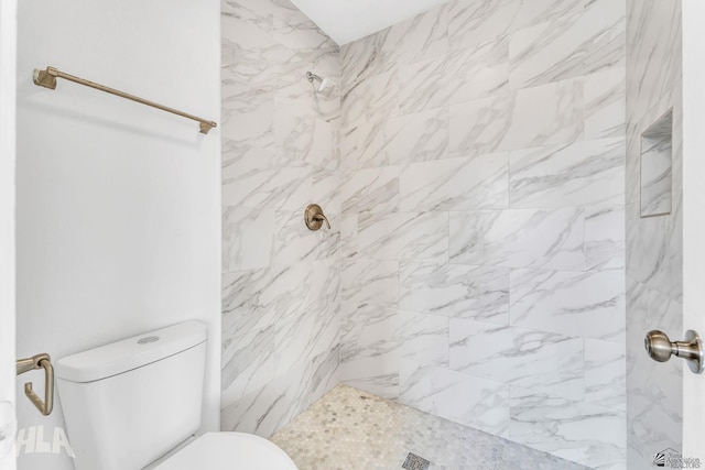 1721 S Athens Ave, Yuma, AZ 85364 - bathroom with a tile shower and toilet