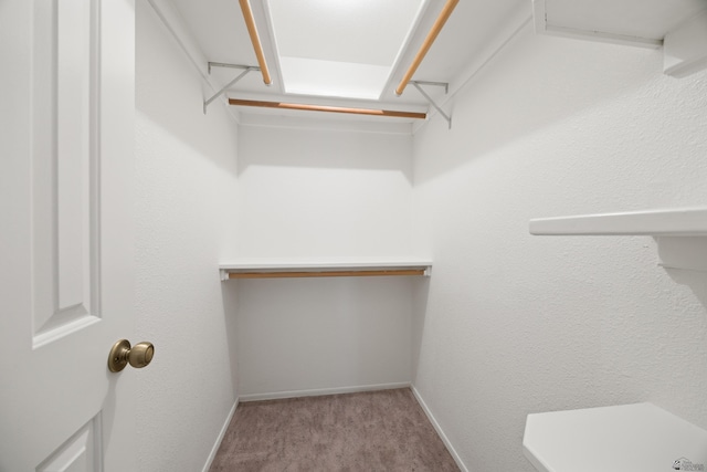 13239 E 47th Dr, Yuma, AZ 85367 - spacious closet featuring carpet