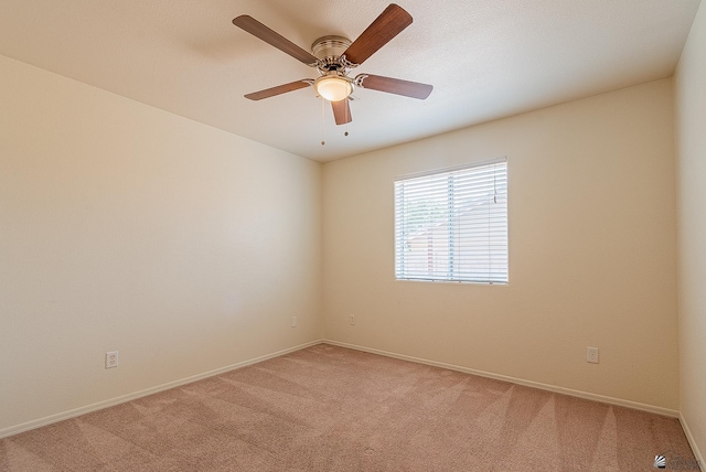 229 W Monroe St, Somerton, AZ 85350 - photo 8