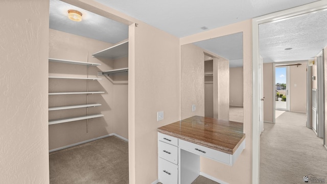 1440 E Laguna Pl, Yuma, AZ 85365 - walk in closet featuring carpet floors