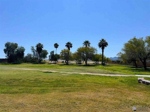 28371 Telegraph Ave, Wellton, AZ 85356 - photo 9