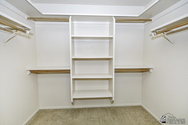 11760 E 28th Pl, Yuma, AZ 85367 - spacious closet with carpet