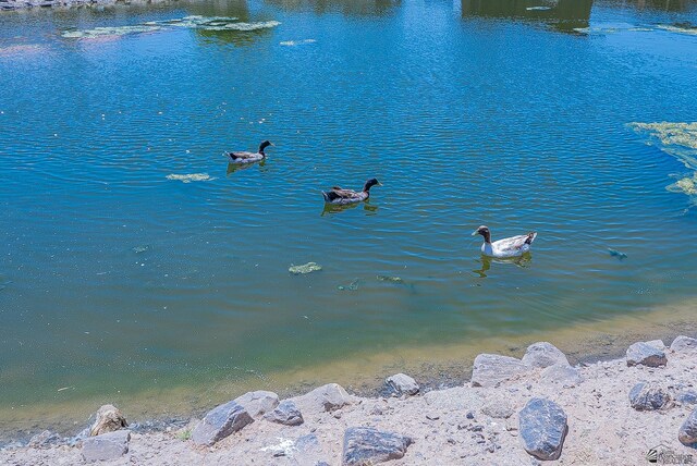 1931 Paris Ct # 8, Yuma, AZ 85364 - photo 28