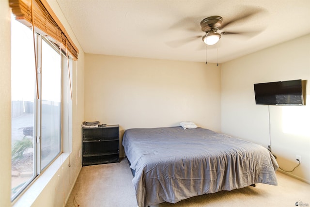 4402 S Jasmine Ave, Yuma, AZ 85365 - photo 23
