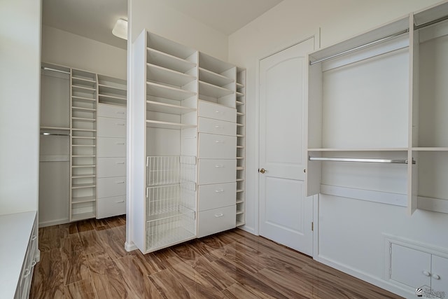 spacious closet featuring wood finished floors