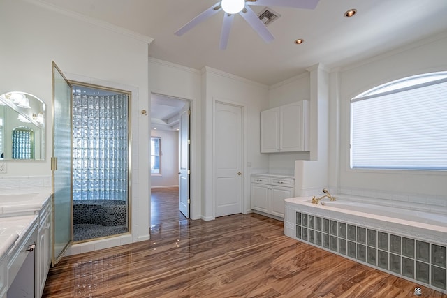 bathroom featuring vanity, ceiling fan, wood finished floors, and visible vents