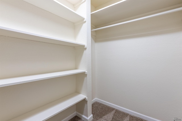 spacious closet with carpet