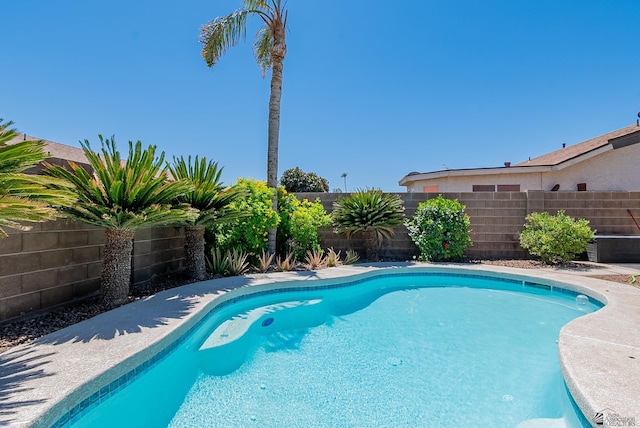view of pool featuring a fenced backyard and a fenced in pool