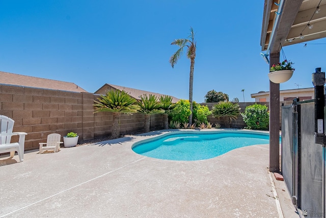 view of swimming pool with a patio, a fenced backyard, and a fenced in pool