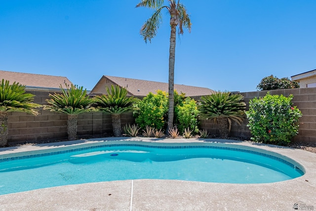view of swimming pool with a fenced in pool and a fenced backyard