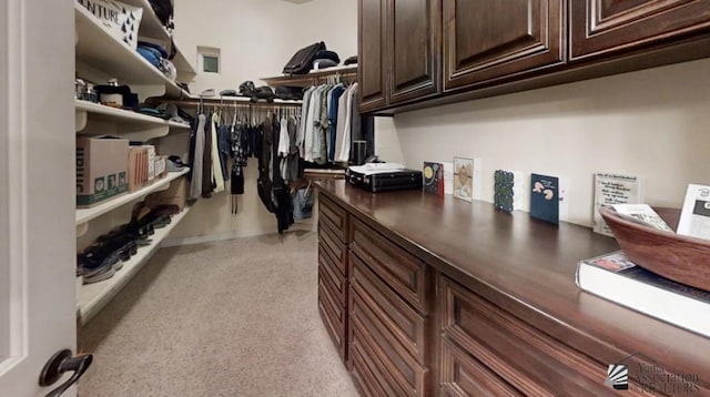 walk in closet with light colored carpet