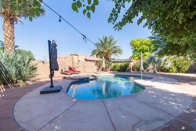 view of pool with a patio