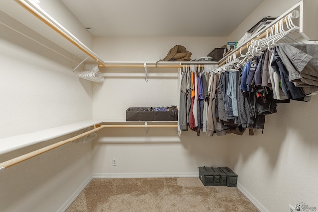 spacious closet featuring carpet floors