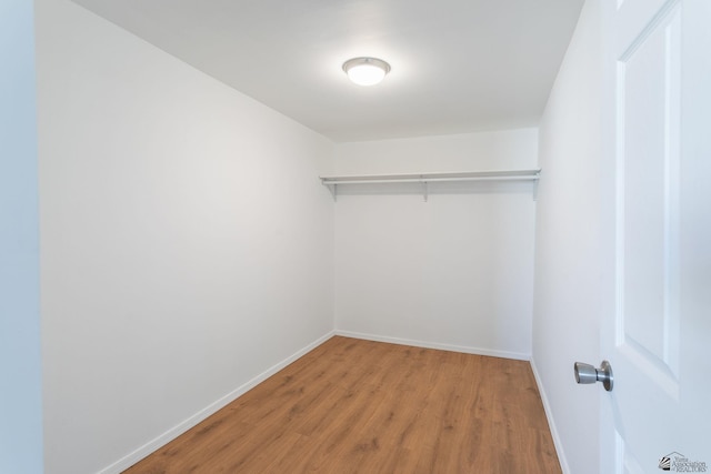 walk in closet with wood-type flooring