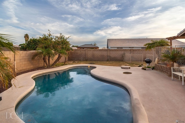 view of pool featuring a patio area