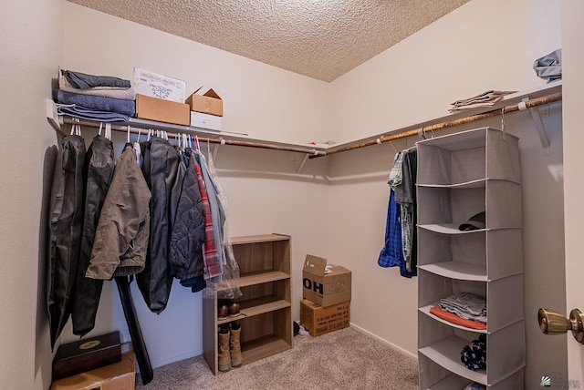 spacious closet featuring carpet