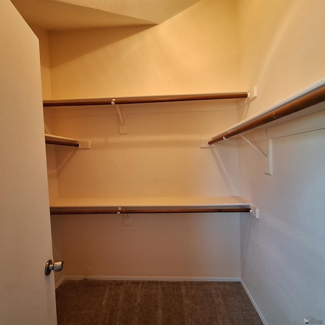 walk in closet with carpet