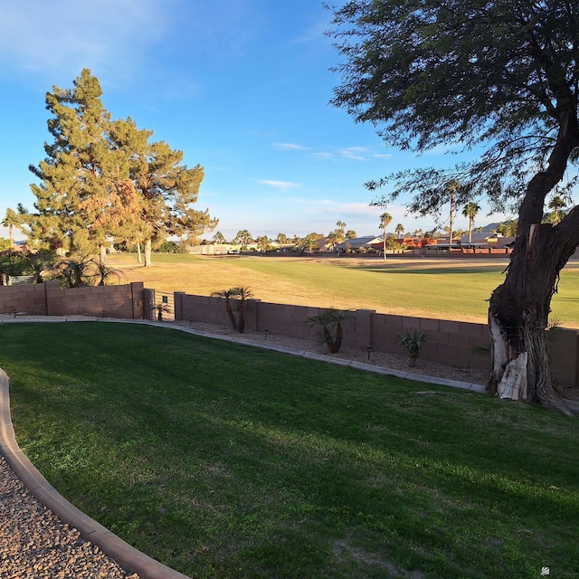 view of yard with a fenced backyard