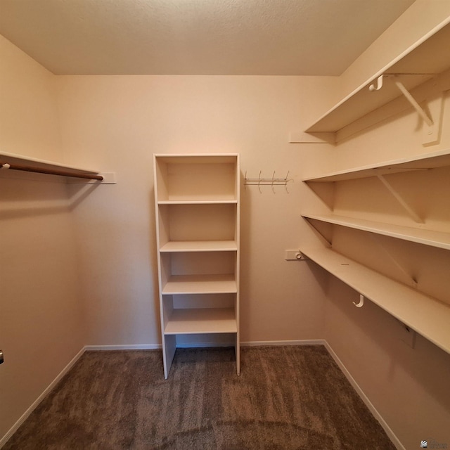 spacious closet with carpet flooring