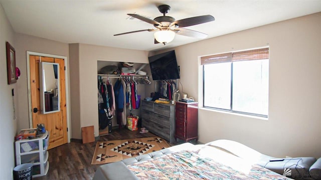 bedroom featuring a closet, ceiling fan, and dark wood-type flooring