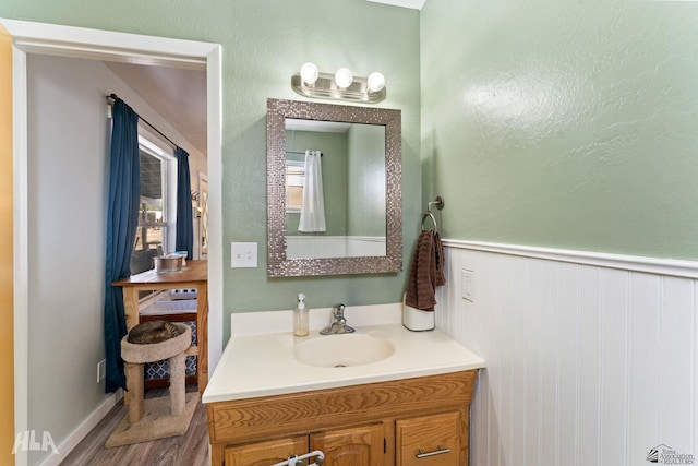 bathroom with hardwood / wood-style flooring and vanity