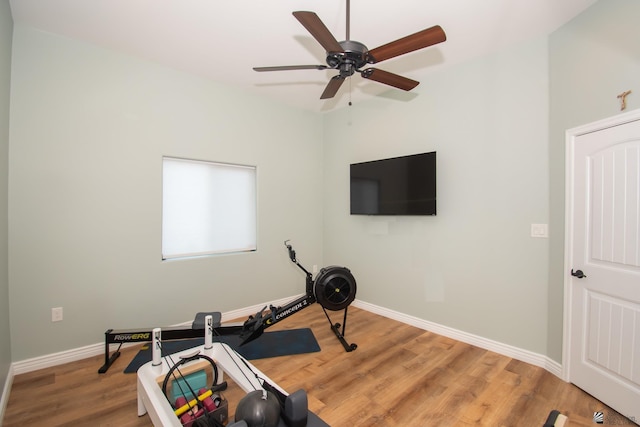 workout room featuring hardwood / wood-style flooring and ceiling fan