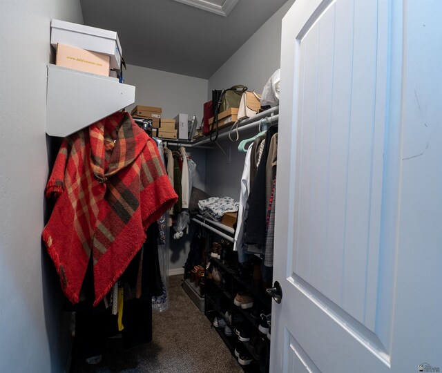 spacious closet with carpet floors