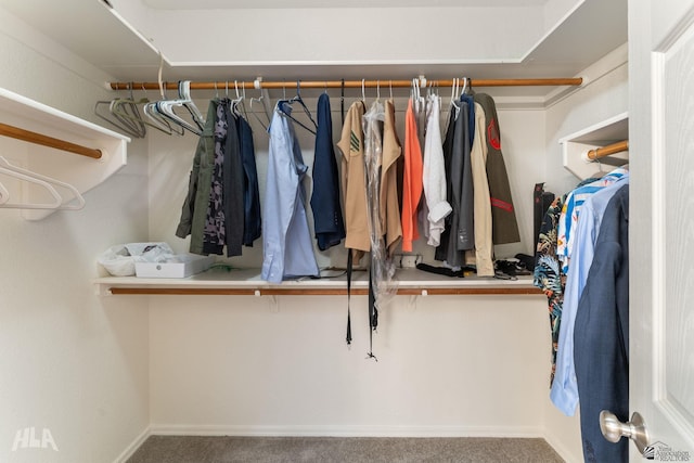 spacious closet featuring carpet flooring