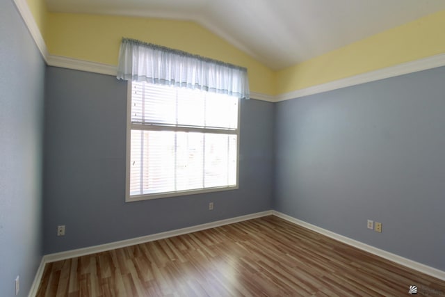 empty room with hardwood / wood-style flooring, lofted ceiling, and plenty of natural light