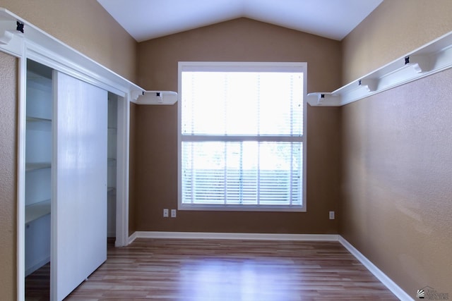 walk in closet featuring vaulted ceiling and hardwood / wood-style floors