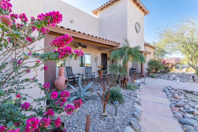 rear view of property with a patio and ceiling fan