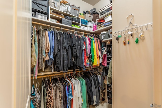 view of spacious closet