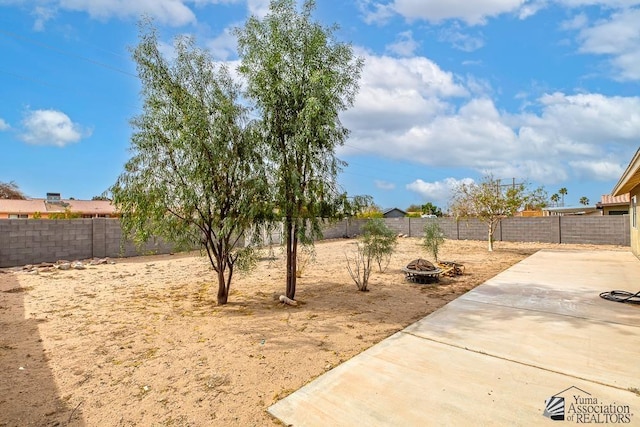 view of yard with a patio area and a fenced backyard