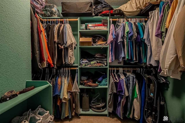 walk in closet with carpet floors