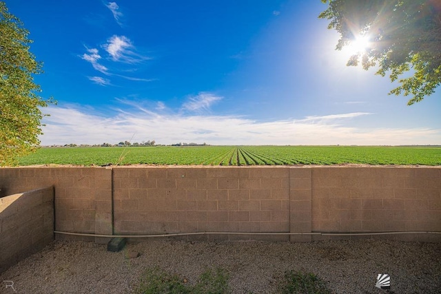 view of yard with a rural view