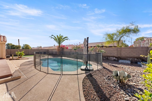 view of pool with a patio area